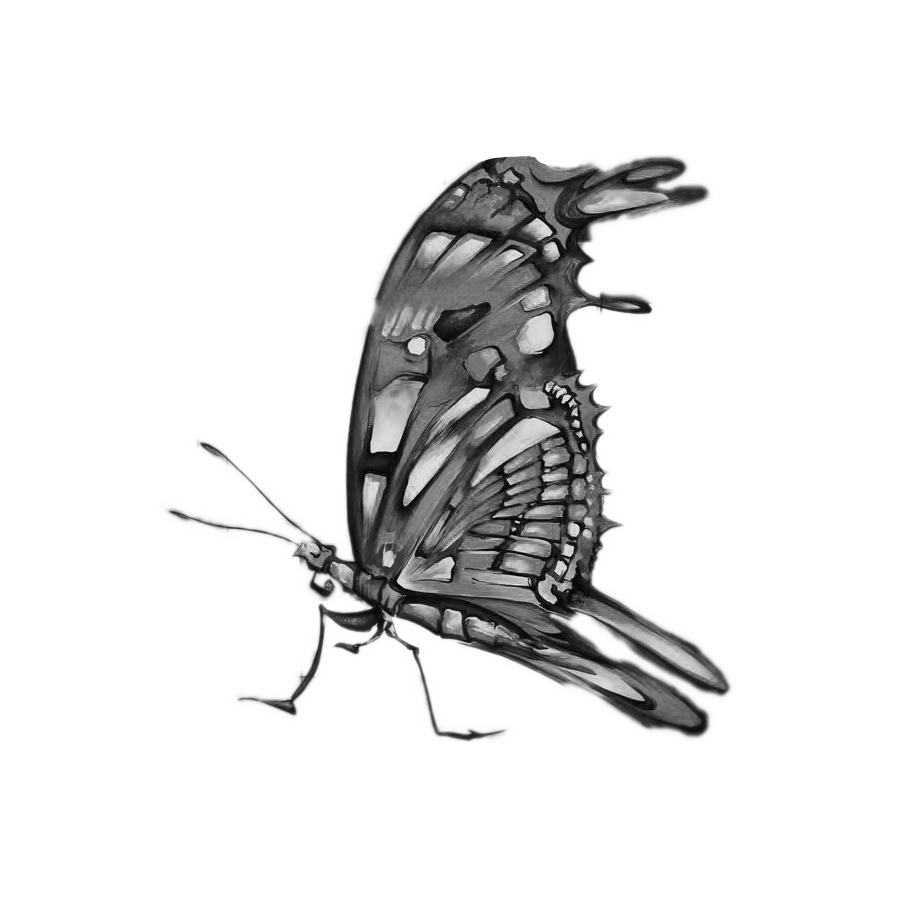 Werk von Joe Muczka jr.